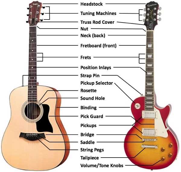 parts of a guitar diagram acoustic