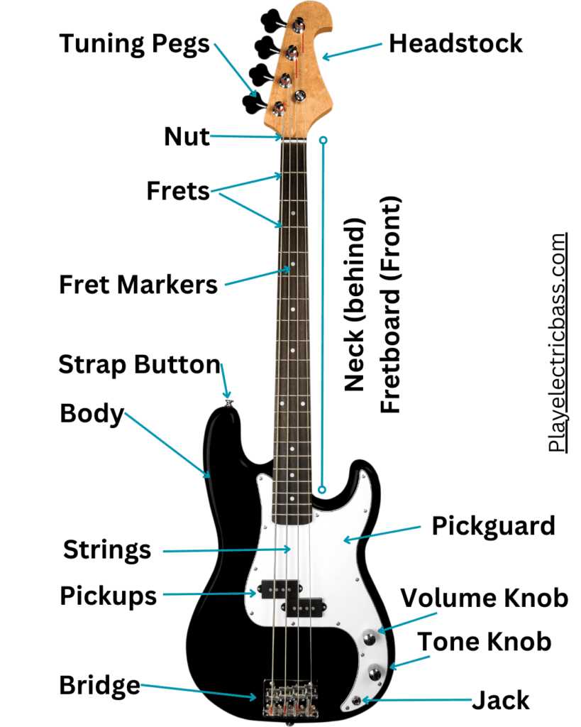 electric bass parts diagram