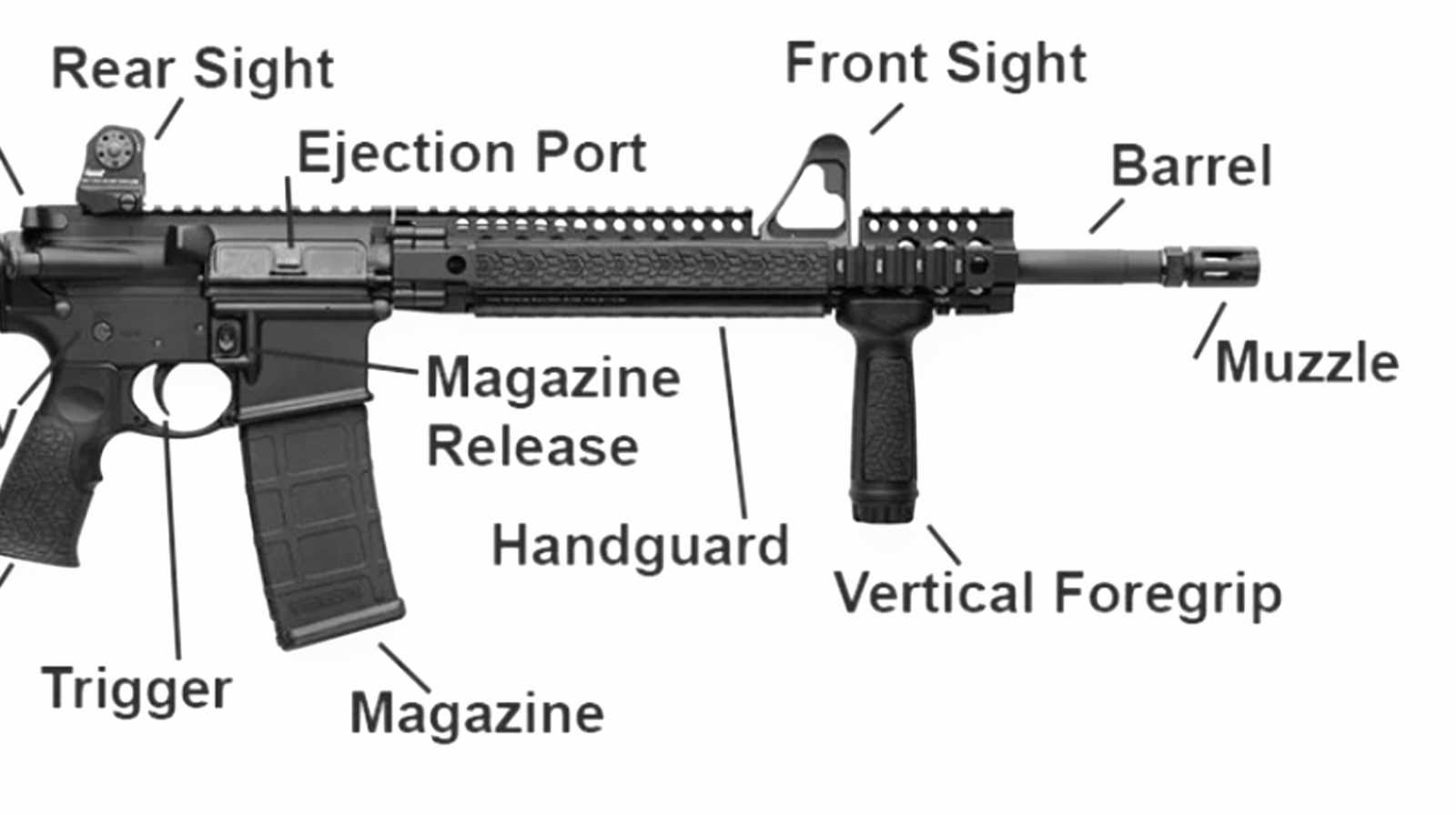 ar15 parts diagram