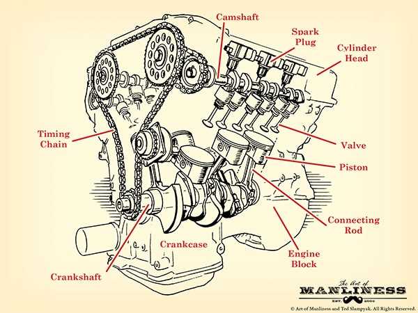 car parts diagram under hood