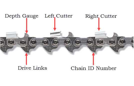 chainsaw chain parts diagram