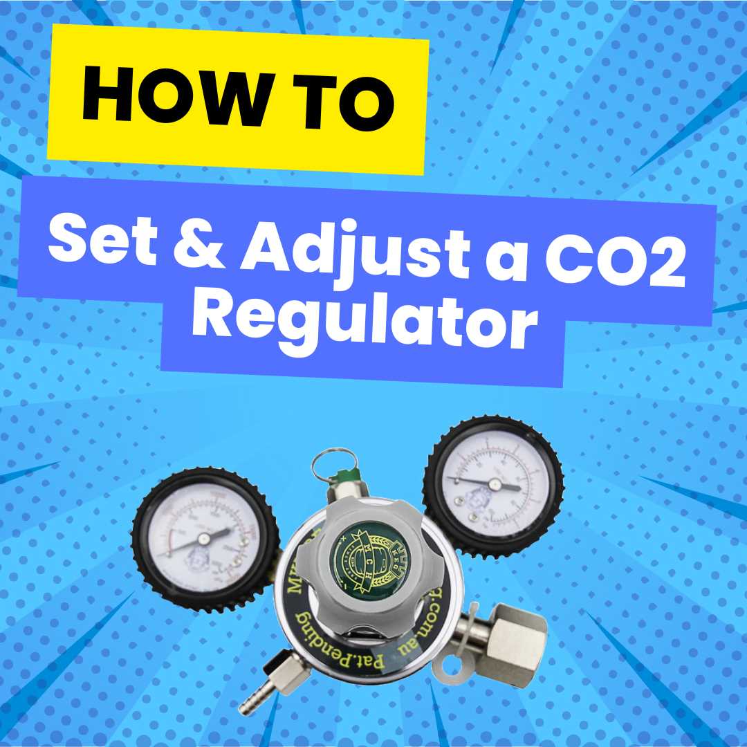 co2 regulator parts diagram