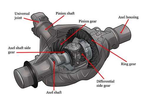 differential assembly differential parts diagram