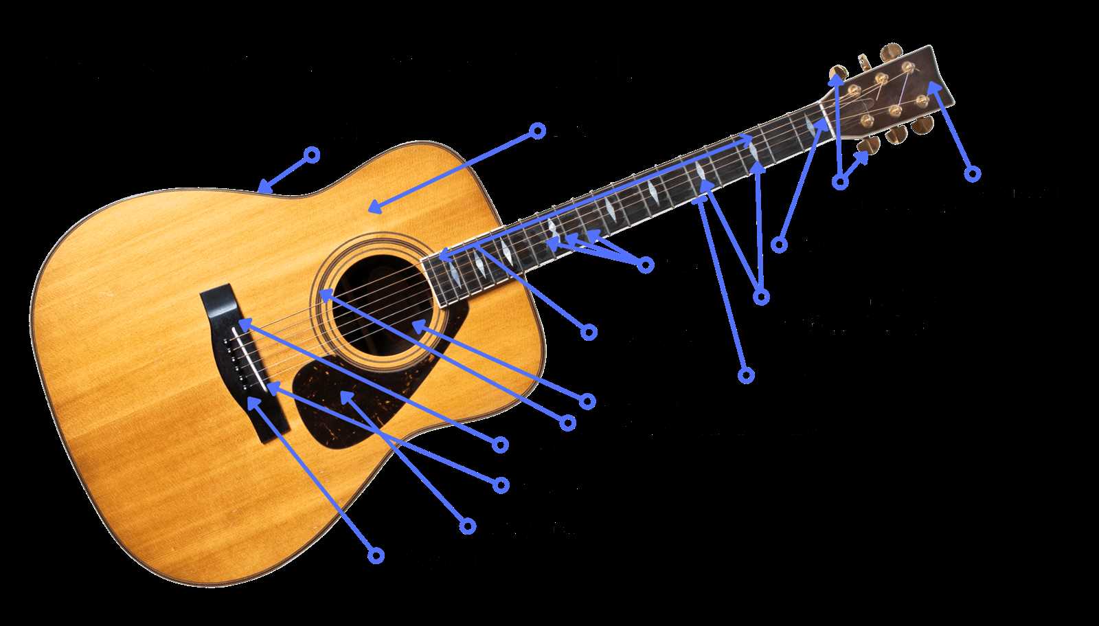 electric bass parts diagram