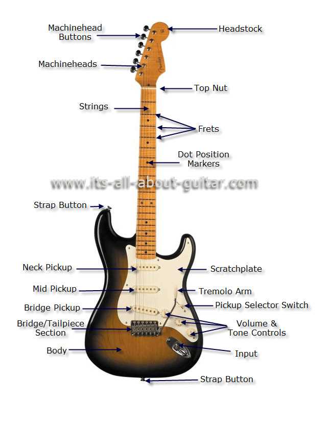 electric bass parts diagram