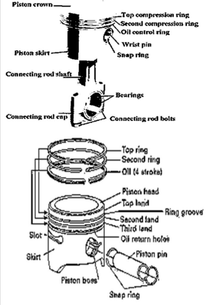 gas tank parts diagram