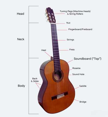 guitar part diagram