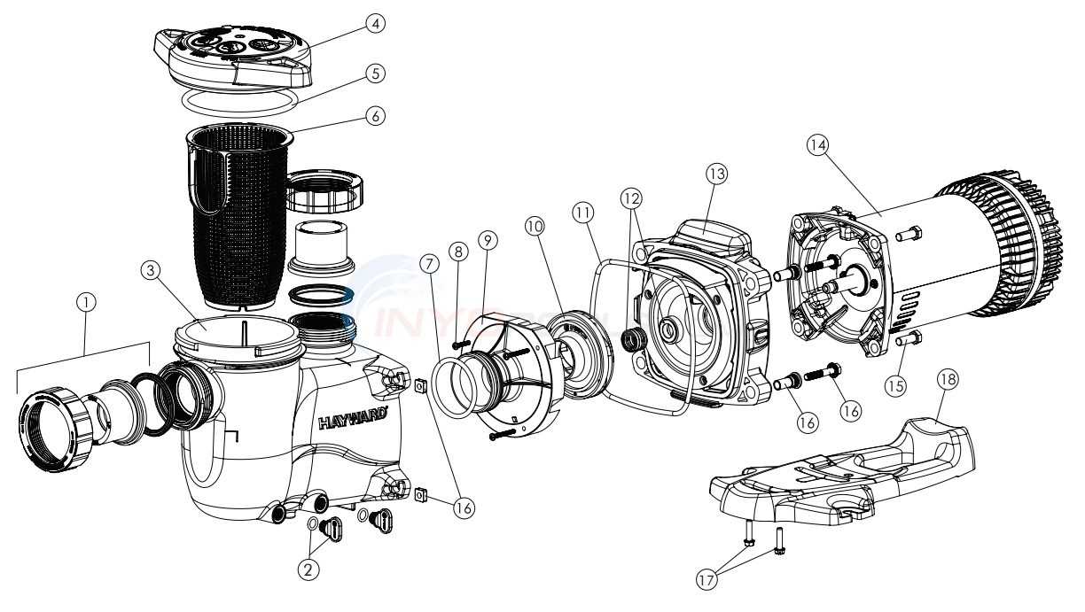 hayward pump parts diagram