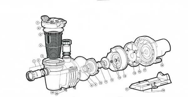 hayward pump parts diagram