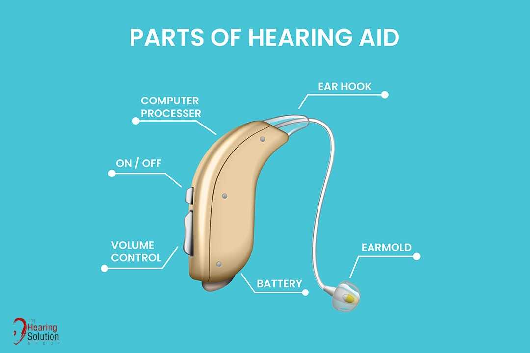 hearing aid parts diagram