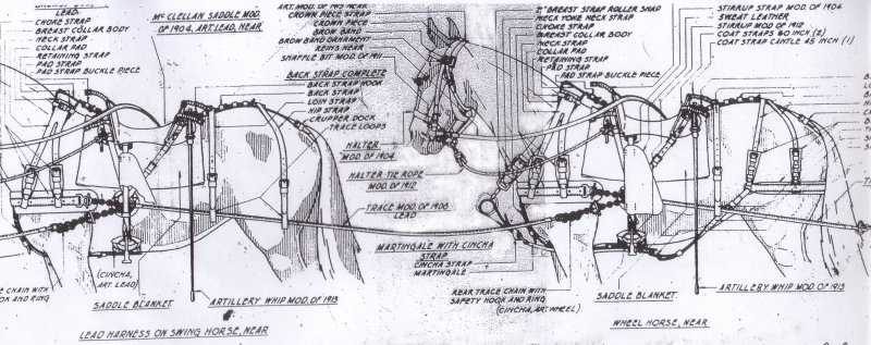 horse drawn wagon parts diagram