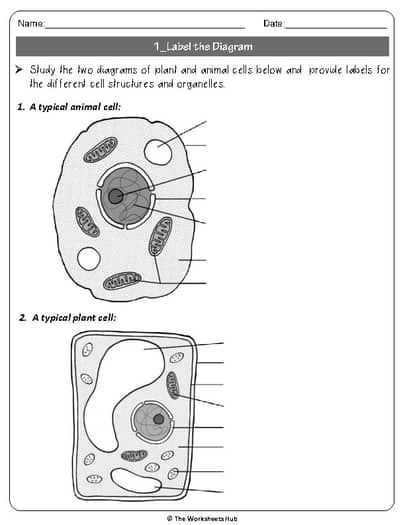 label the two cell parts on the diagram below.