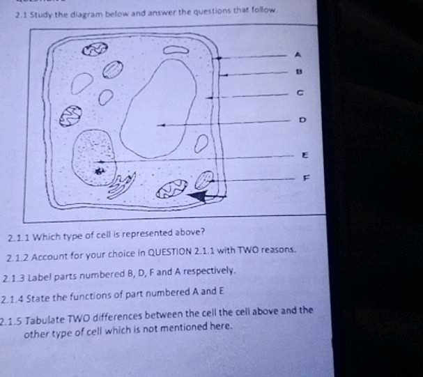 label the two cell parts on the diagram below.