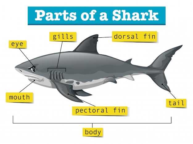 lane shark parts diagram