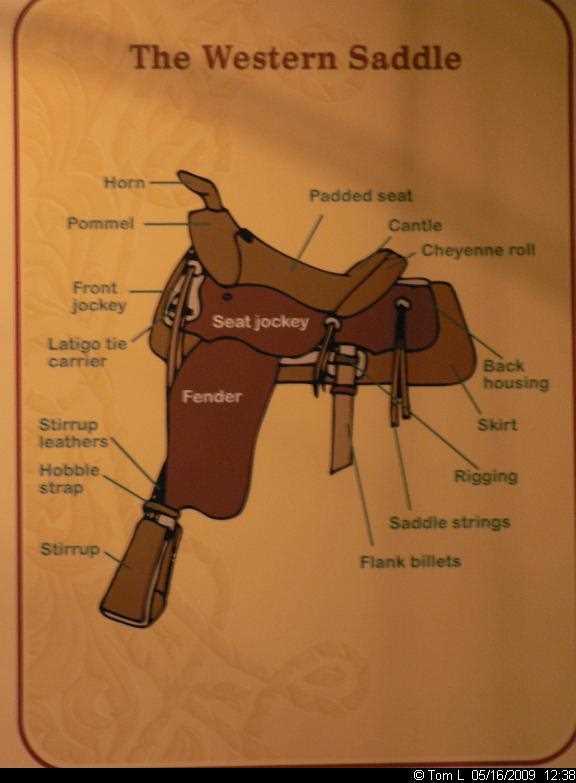 parts of a saddle diagram