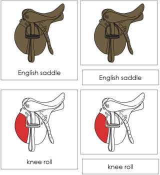 parts of a saddle diagram