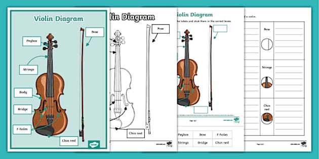 parts of a violin diagram