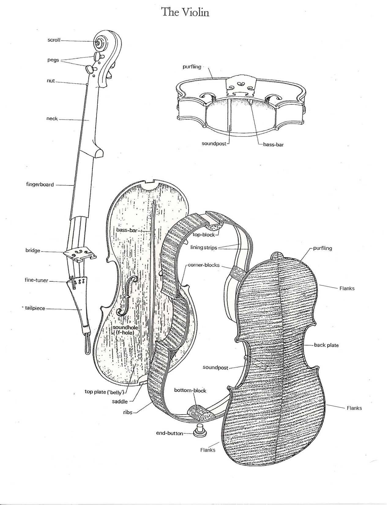 parts of a violin diagram