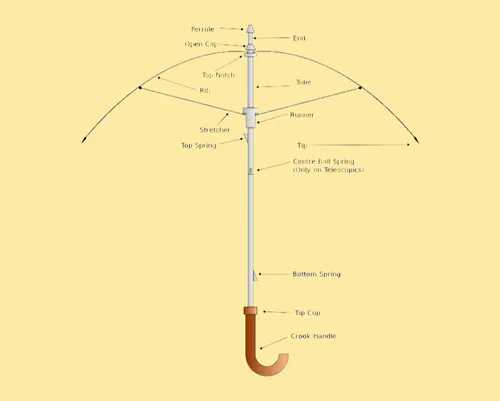 parts of an umbrella diagram