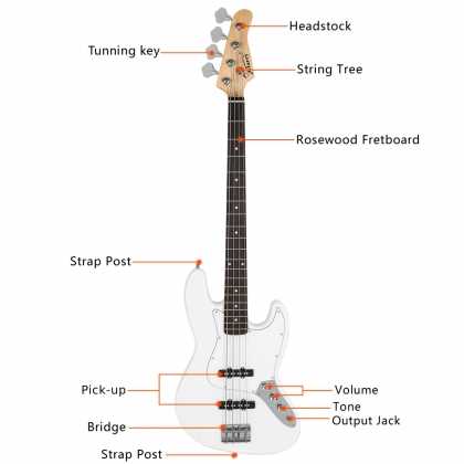 parts of bass guitar diagram