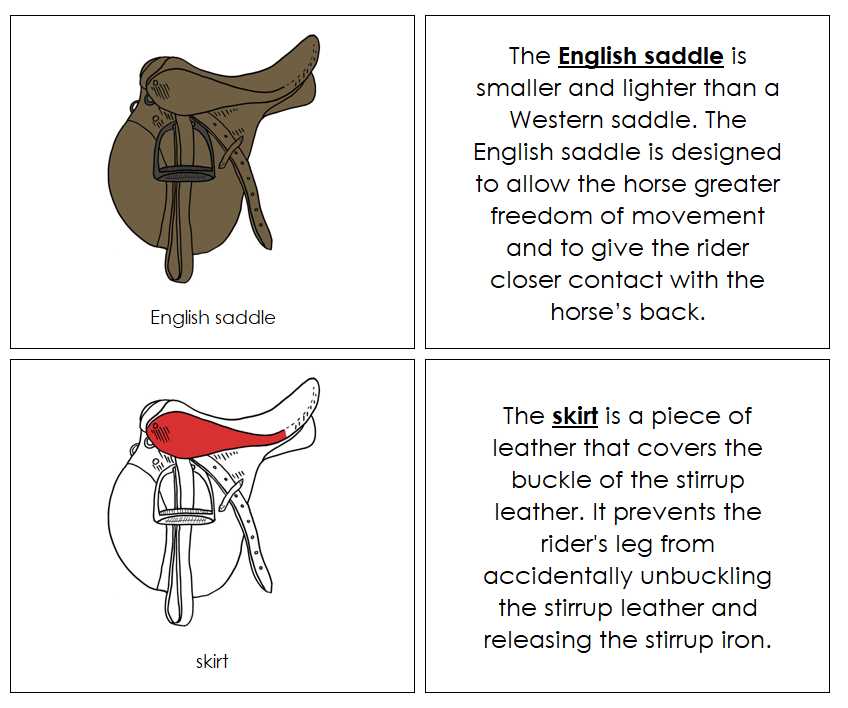 parts of saddle diagram