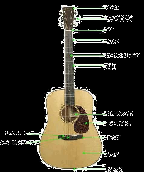 parts of the acoustic guitar diagram