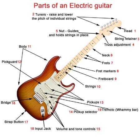 parts of the acoustic guitar diagram