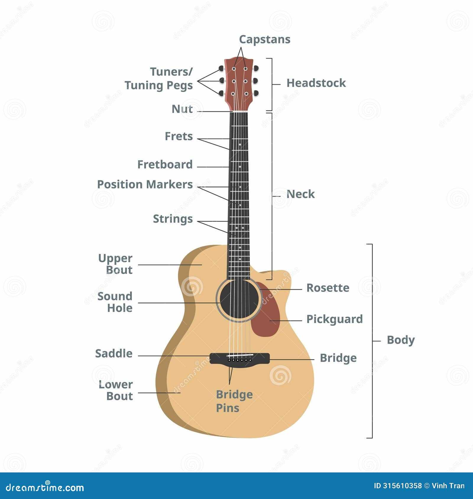 parts of the acoustic guitar diagram