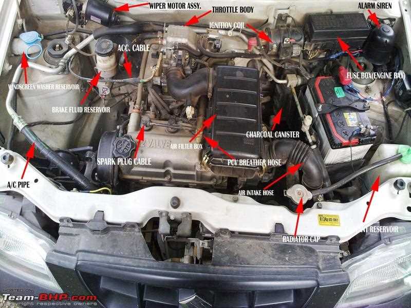 parts under the hood of a car diagram