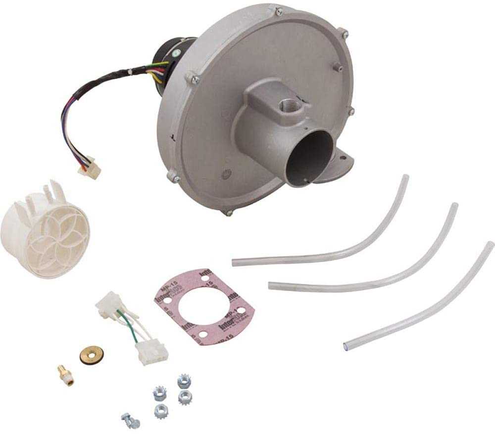 pentair mastertemp 125 parts diagram