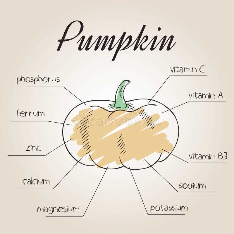 pumpkin parts diagram