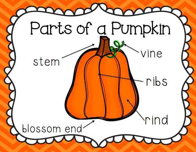 pumpkin parts diagram