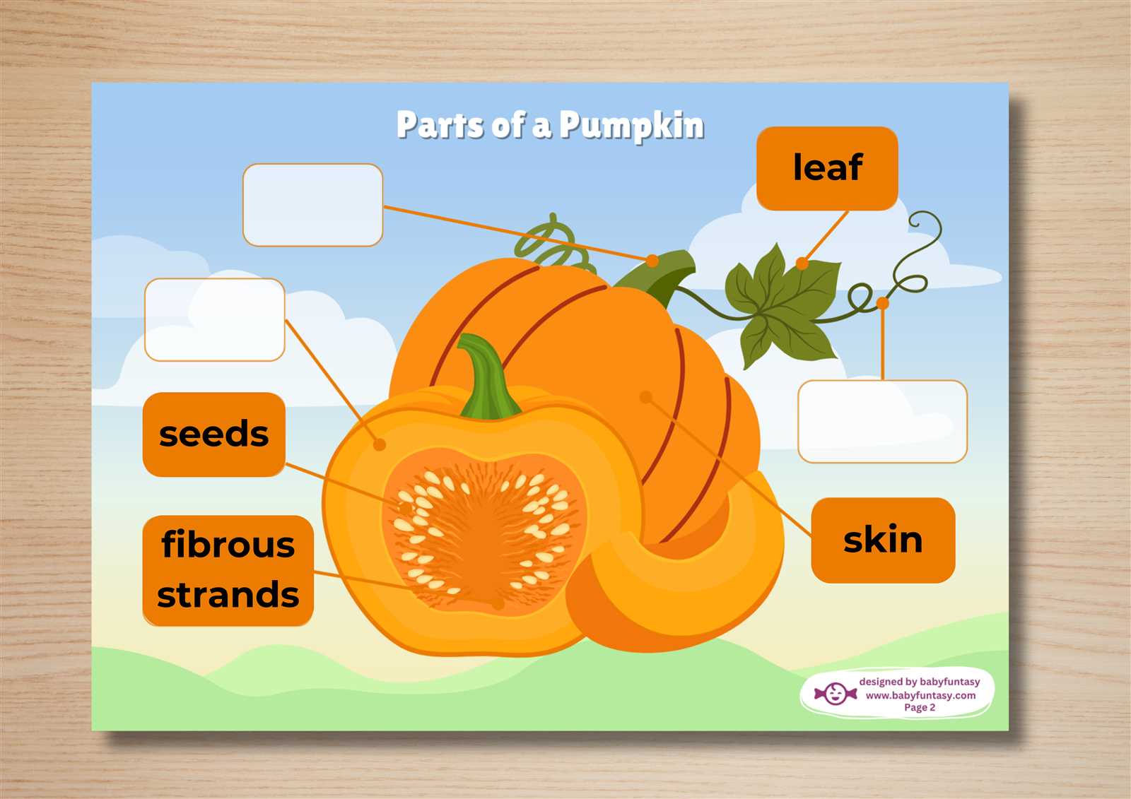 pumpkin parts diagram