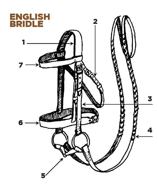 saddle parts western diagram