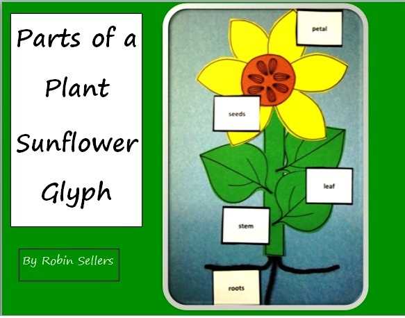 sunflower parts diagram