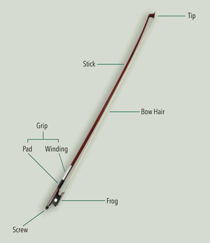 violin diagram parts