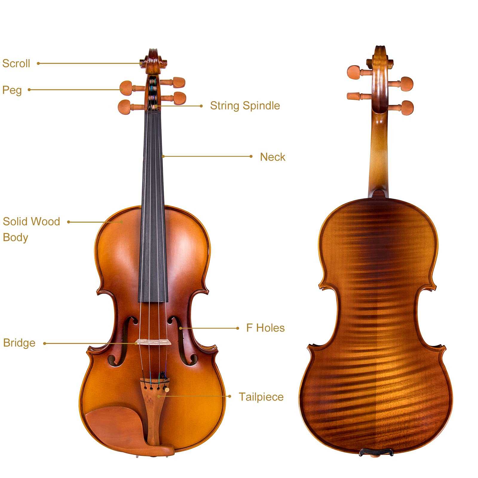 violin parts diagram