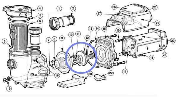 1.5 hp hayward pool pump parts diagram