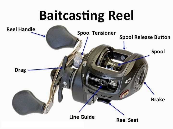 baitcasting reel parts diagram