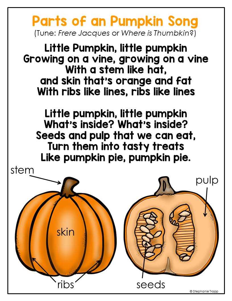 parts of a pumpkin diagram