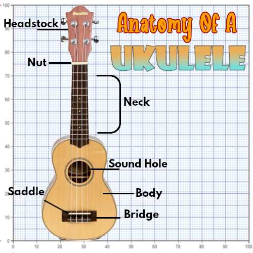 ukulele diagram of parts