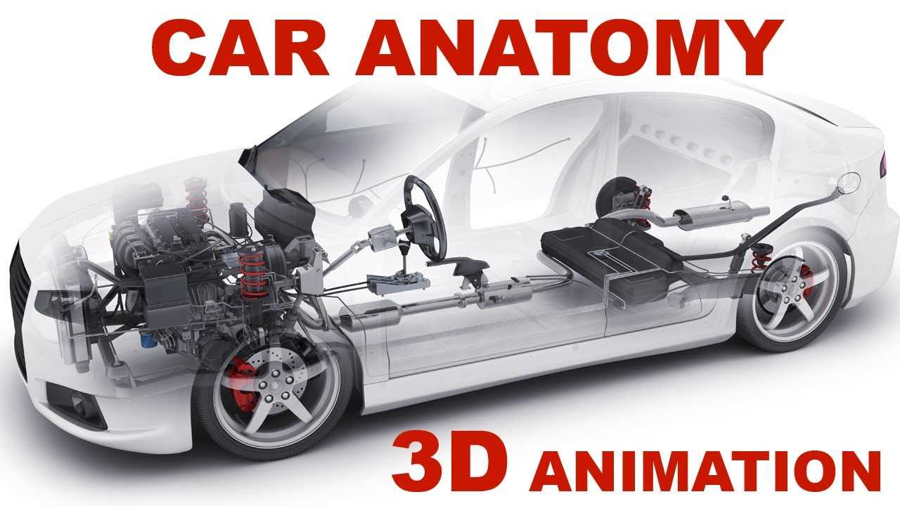 car parts diagram under hood