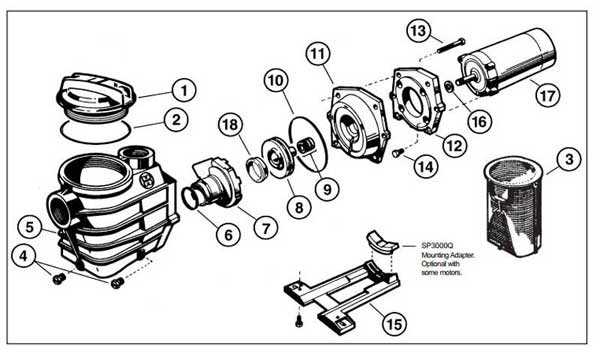 century pool pump parts diagram