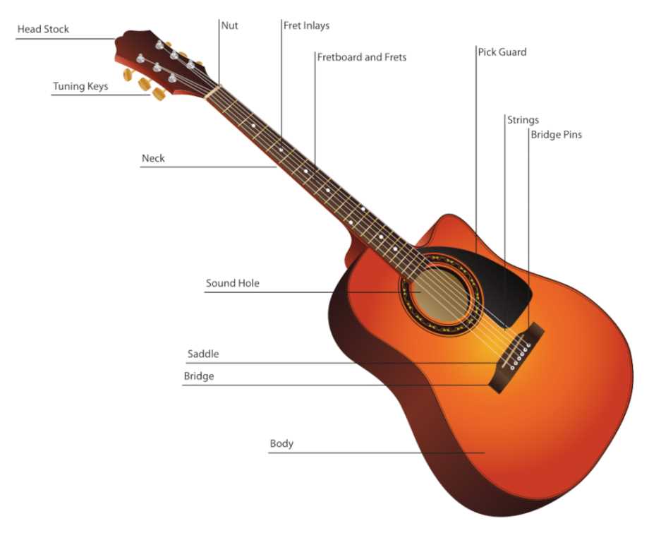 parts of a guitar diagram acoustic