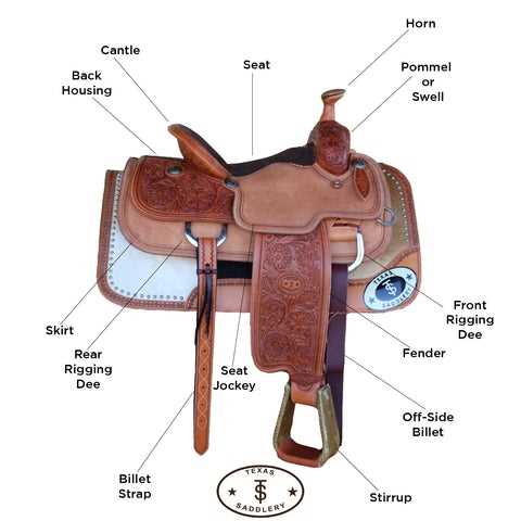 parts of saddle diagram