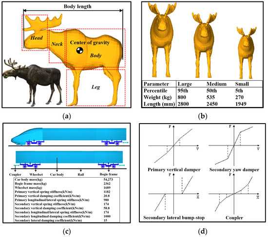 deer body parts diagram