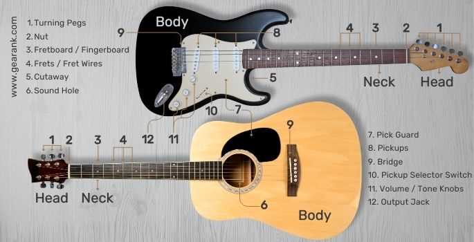 electric bass parts diagram