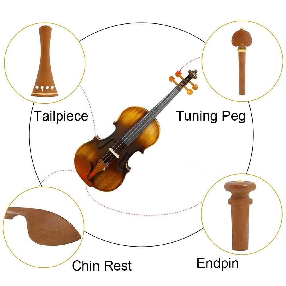 parts of a violin diagram