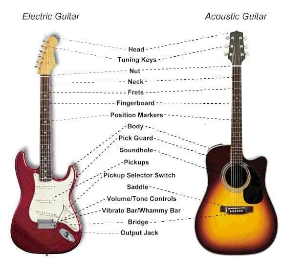 parts of the acoustic guitar diagram