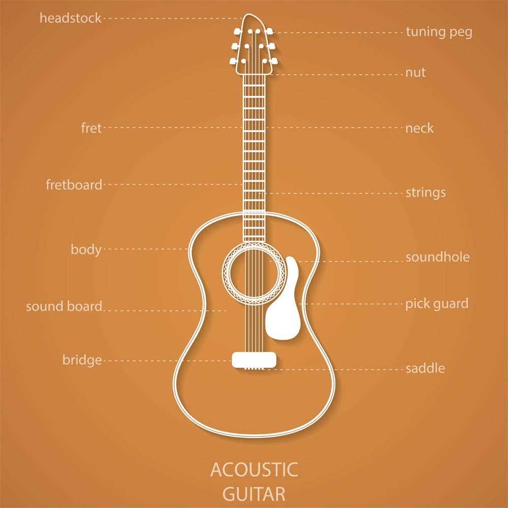 parts of a guitar diagram acoustic